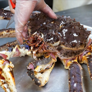 King Crab