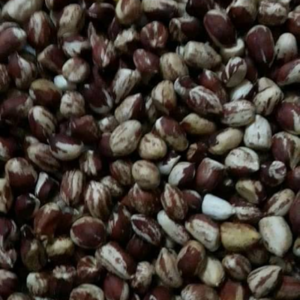 Arachides