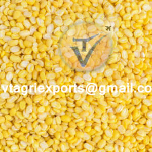 Yellow Moong Dal - Premium Quality