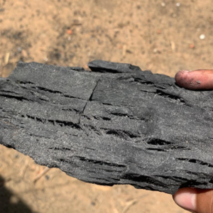 Wood Charcoal from Tamarind Wood