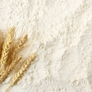 Wheat Flour