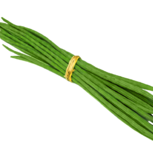 Drumstick