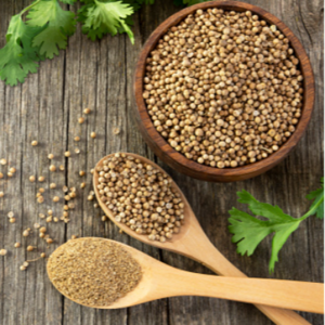 Coriander