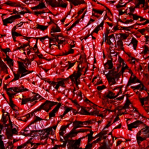 Dry Red Chilli