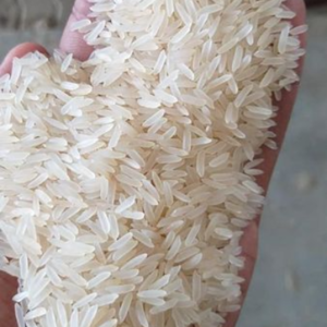 1121 Extra Long Grain Rice
