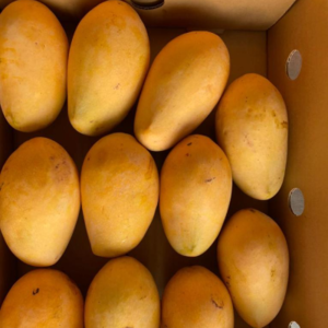 Fresh Mangoes