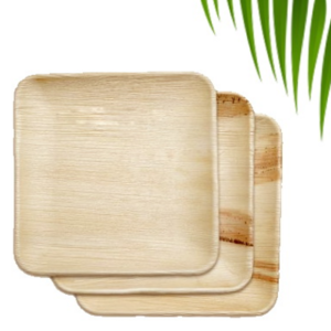 Areca Leaf Plates 10*10 Square plate
