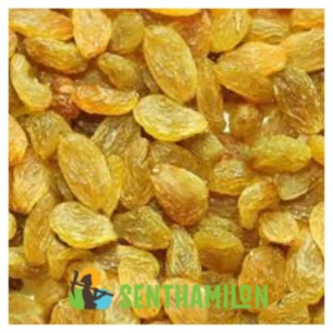 Raisins - Round -  Long - Black