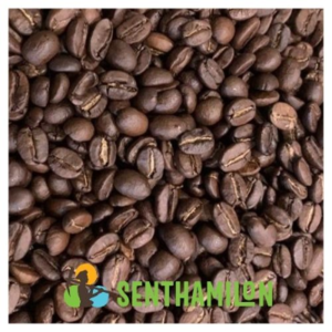 Coffee Bean (Green - Roasted)