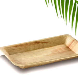 Areca Leaf 6"x9"  Tray