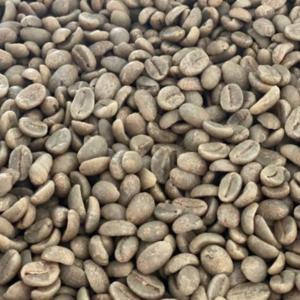 Green and Roasted Coffee Beans Colombia