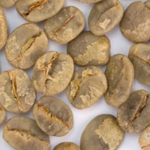 Green and Roasted Coffee Beans Brazil