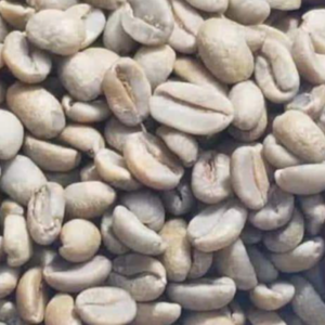 Green and Roasted Coffee Beans Burundi