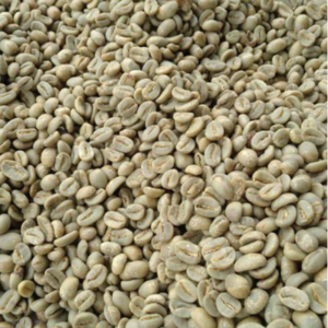 Green and Roasted Coffee Beans Vietnam