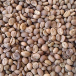 Green and Roasted Coffee Beans Sierra Leone