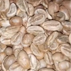 Green and Roasted Coffee Beans Tanzania