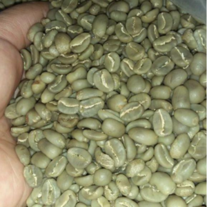 Green and Roasted Coffee Beans Sumatra