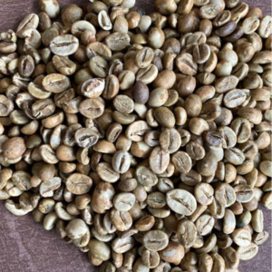 Green and Roasted Coffee Beans Dempo Mt Summatra