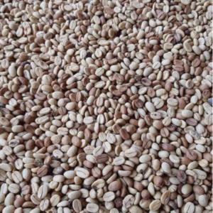 Green and Roasted Coffee Beans Peru