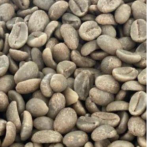 Green and Roasted Coffee Beans Honduras