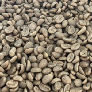 Green and Roasted Coffee Beans Nicaragua