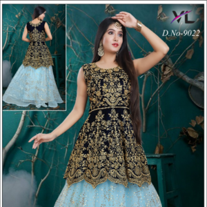 Traditional ladies clothing