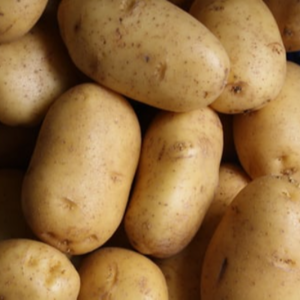 Potato
