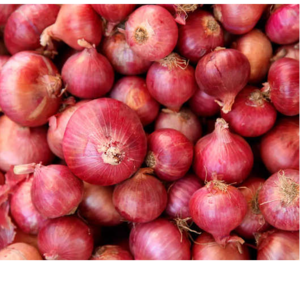 Onion