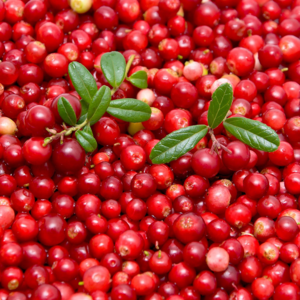 Quick-frozen lingonberries