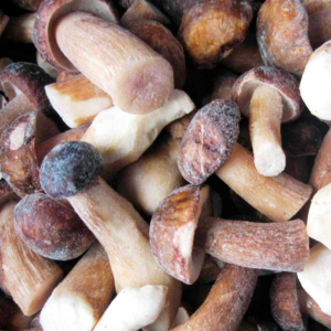 Frozen porcini