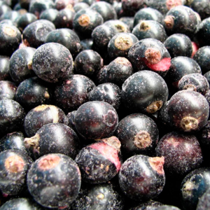 Frozen blackcurrants