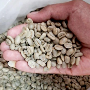 indonesia green mandhailing coffee beans