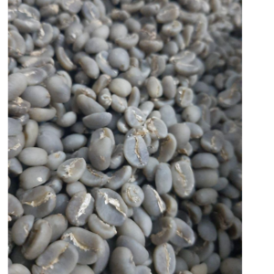 indonesia green mandhailing coffee beans