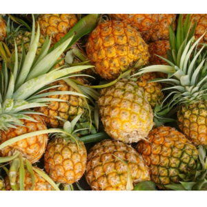 PINE APPLE
