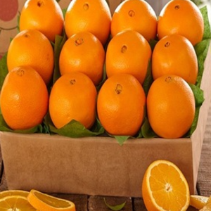 FRESH NAVEL ORANGES, VALENCIA, MANDARIN, TANGERINE, LEMONS, CLEMENTINE, CITRUS FRUITS, LIMES, QUINCE, GRAPEFRUIT, ALL FRUITS