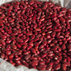 KIDNEY BEANS, BLACK BEANS, BUTTER, CHICKPEAS, COCOA, BROAD, LENTILS, LIMA, MUNG, VANILLA, SOYBEANS, VIGNA, PEAS