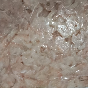 Frozen Pud Karikkadi Shrimps