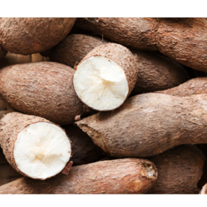 CASSAVA