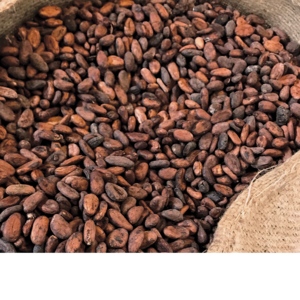 COCOA