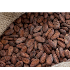 COCOA