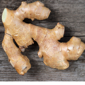 GINGER