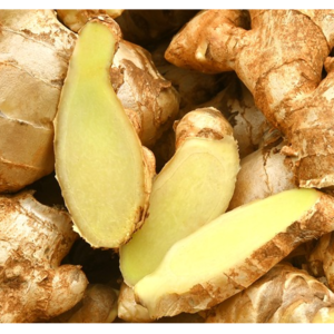 GINGER