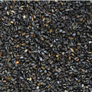 SESAME SEEDS