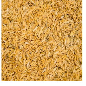 RICE HUSK