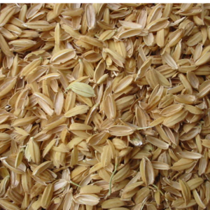RICE HUSK