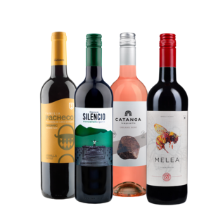 SPAIN WINES