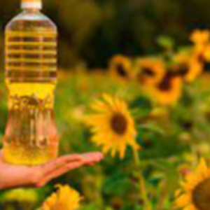 Sunflower Oil