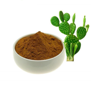 Nopal Powder