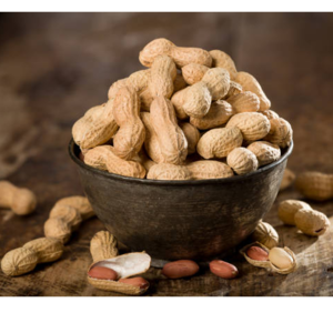 Groundnut