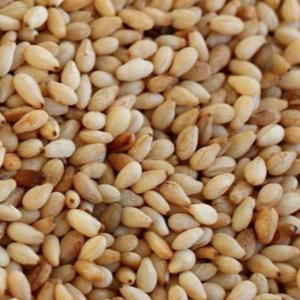 Sasame Seeds